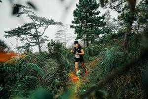 BIB: 
                            <button type="button" onclick="openModal(25258208)" class="btn btn-primary btn-sm float-right btn-popup" data-toggle="modal" data-target=".modal-high-quality">
                        <i class="fas fa-shopping-cart"></i> Add to Cart
                    </button>
                                            <button type="button" onclick="isThisMe(25258208, true)" class="btn btn-success btn-sm float-right btn-popup btn-isme hidden" data-toggle="tooltip" data-placement="bottom" title="นี่คือรูปของคุณใช่ไหม คลิกที่นี่เพื่อเอาเข้าอัลบั้ม">
                        <i class="fas fa-plus"></i> Add to album
                    </button>
                    <button type="button" onclick="isThisMe(25258208, false)" class="btn btn-warning btn-sm float-right btn-popup btn-isnotme hidden">
                        <i class="fas fa-ban"></i> Remove from album
                    </button>